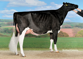 7HO10506d_26_201504_Holst Papaux Atwood Neptune VG-86_Switz