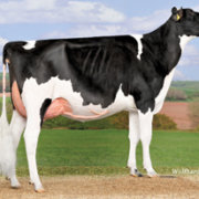 7HO10506d_27_201604_BT Atwood Patricia VG-88_Germany